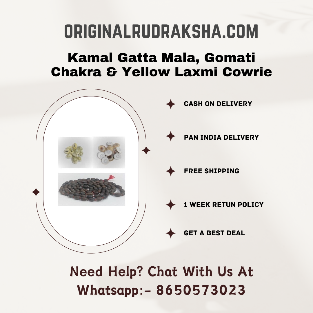 Kamal Gatta Mala, Gomati Chakra & Yellow Laxmi Cowrie