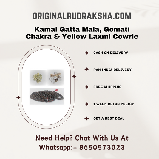 Kamal Gatta Mala, Gomati Chakra & Yellow Laxmi Cowrie