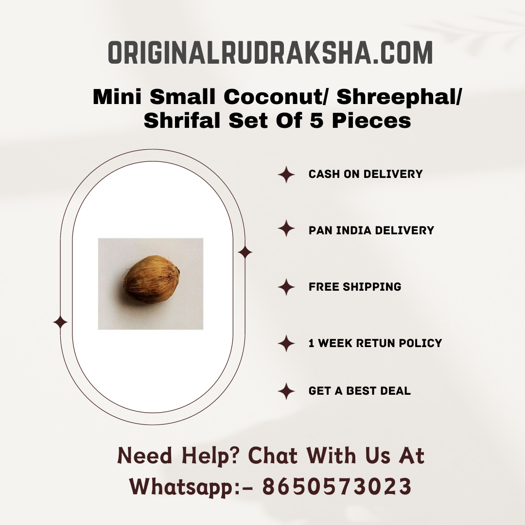 Laghu Nariyal/ Mini Small Coconut/ Shreephal/ Shrifal Set Of 5 Pieces