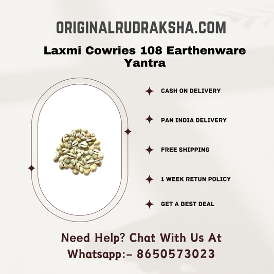 Laxmi Cowries 108 Earthenware Yantra