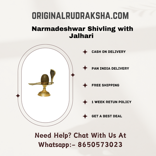 Narmadeshwar Shivling with Jalhari (Brass, Stone, Gold, Brown)
