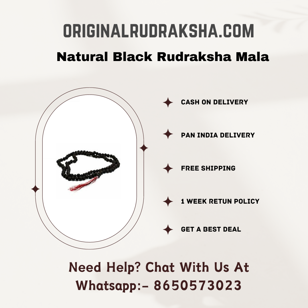 Natural Black Rudraksha Mala with 108 Japa Bead