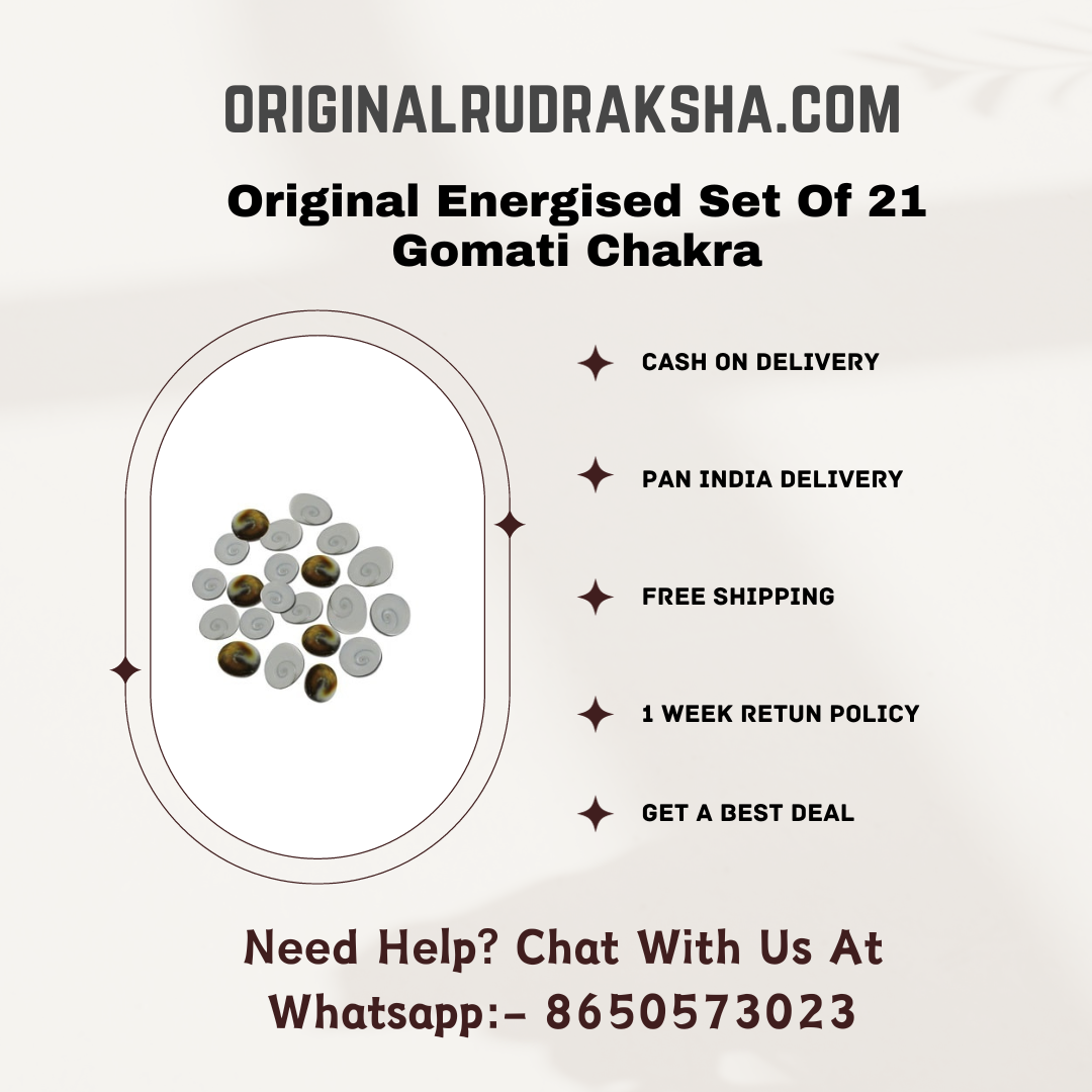 Original Energised Set Of 21 Gomati Chakra For Mystic Lakshmi Puja