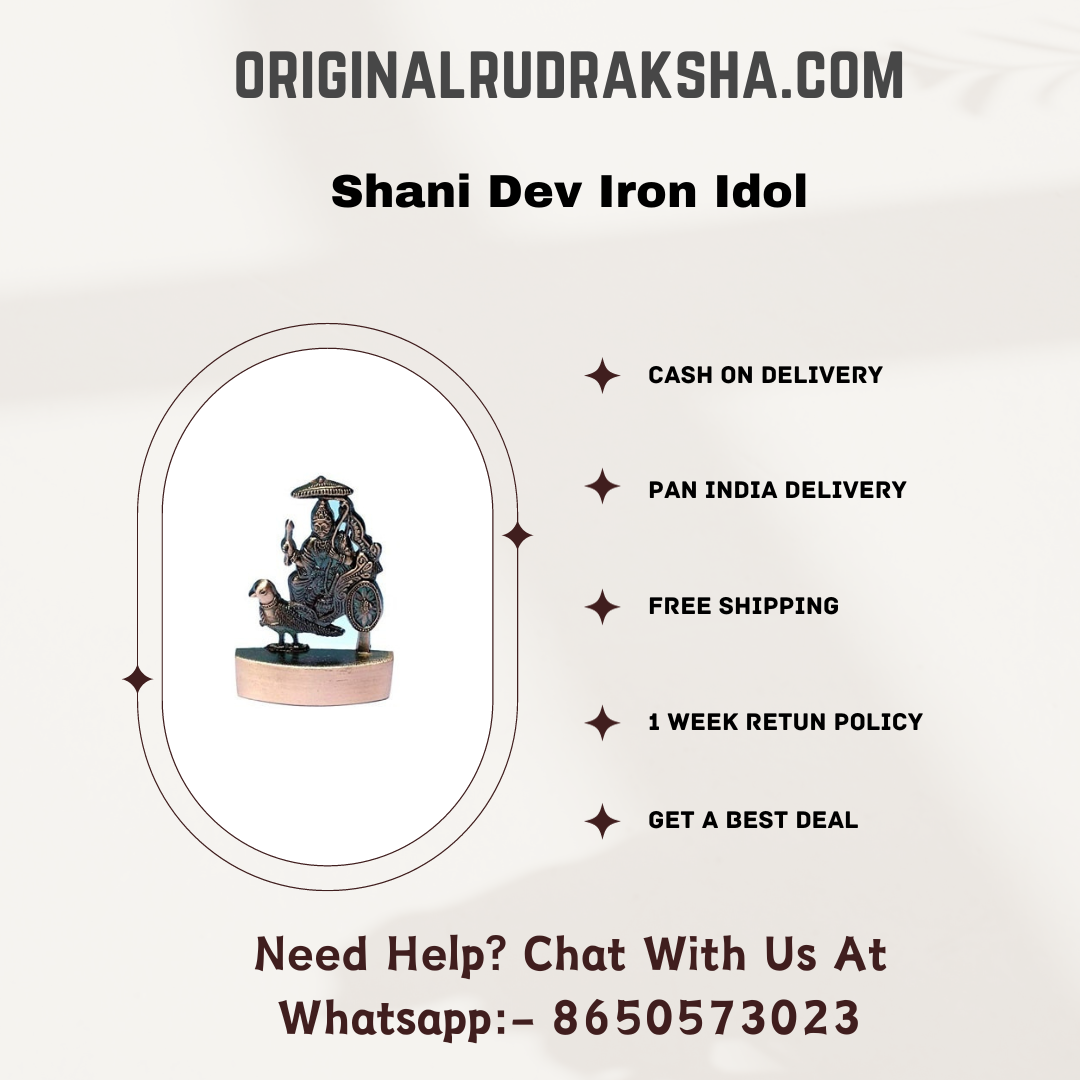 Shani Dev Iron Idol