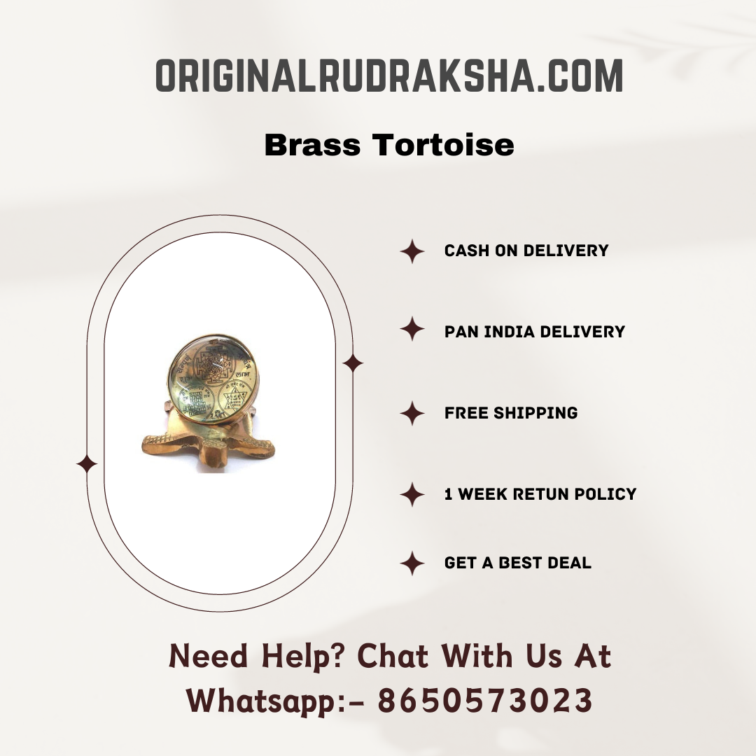 Brass Tortoise