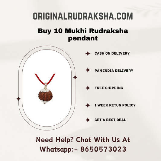 10 Mukhi Rudraksha pendant price