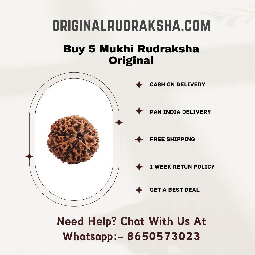 rudraksha 5 mukhi