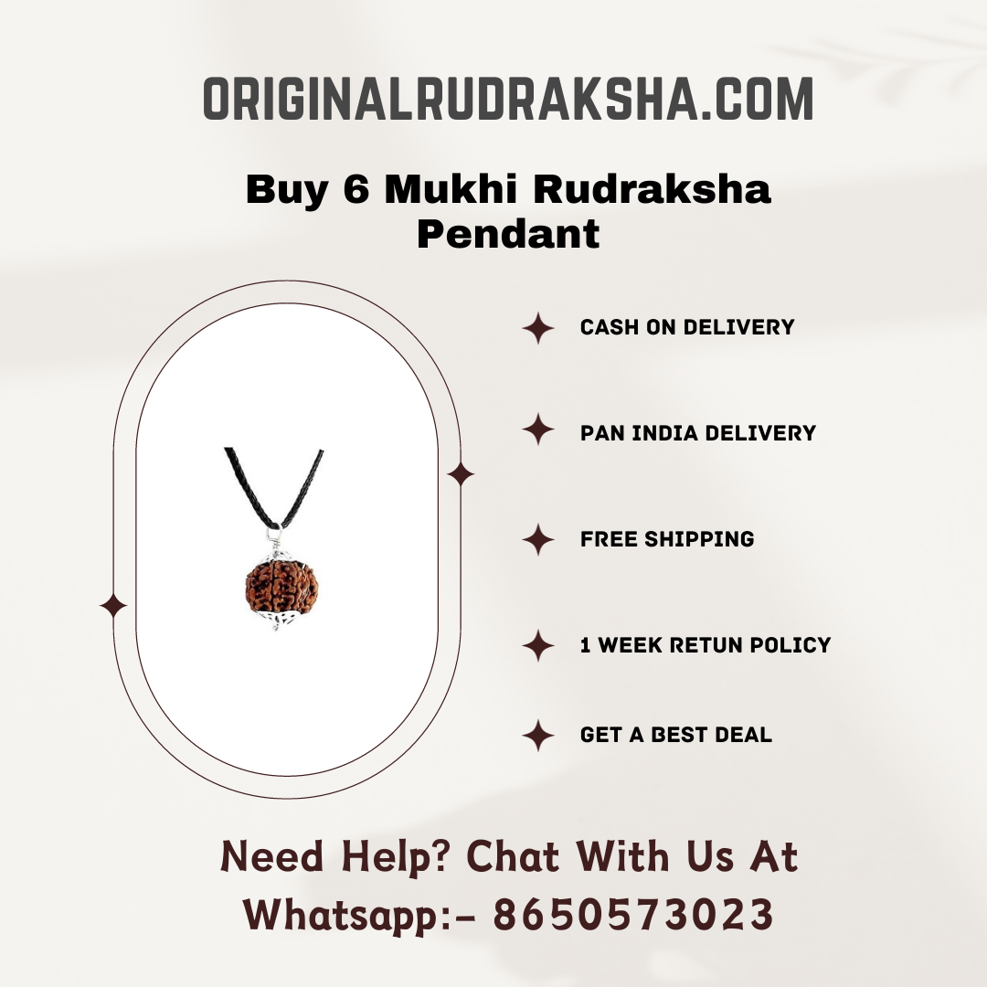 6 Mukhi Rudraksha Pendant