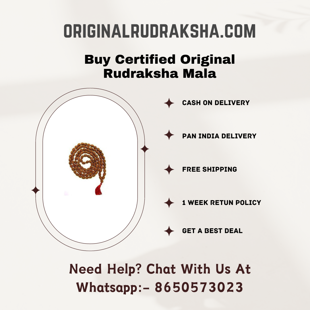 Original Rudraksha Mala Price