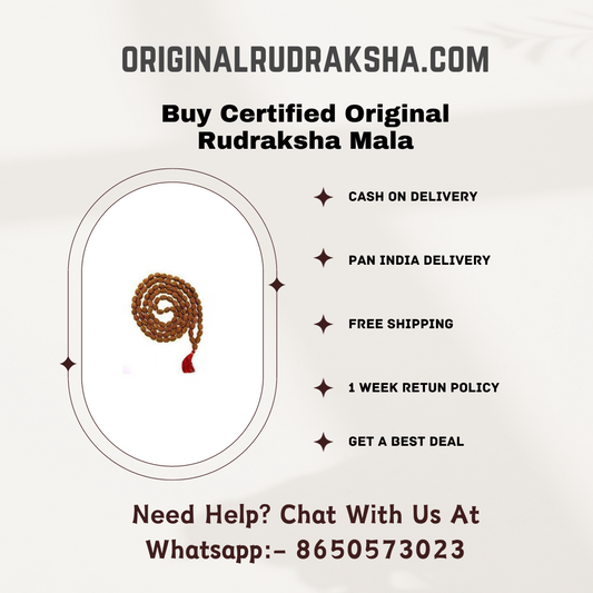 Original Rudraksha Mala Price