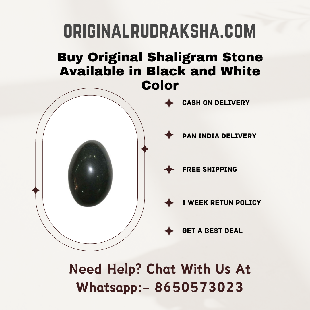 Buy Original Shaligram Stone Available in Black and White Color
