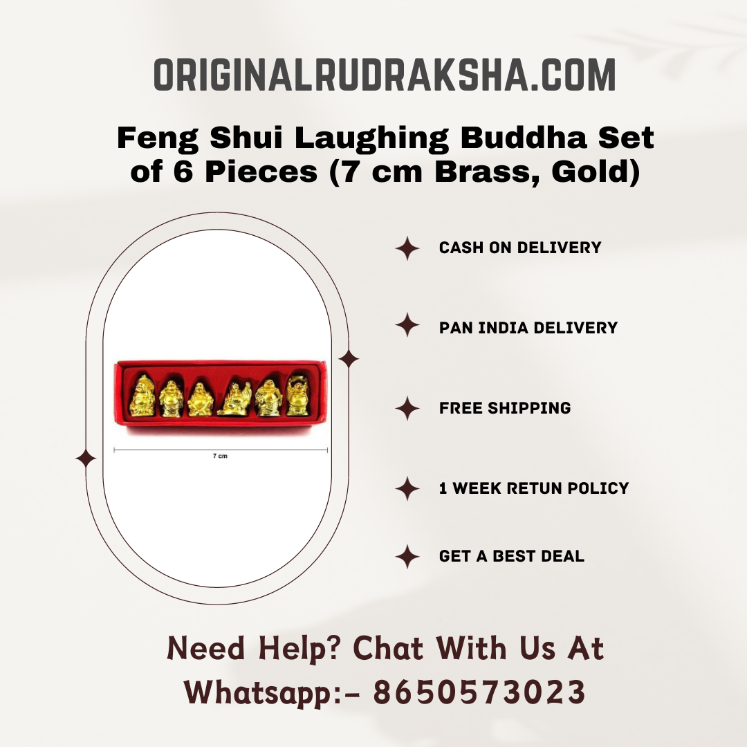 Feng Shui Laughing Buddha Set of 6 Pieces