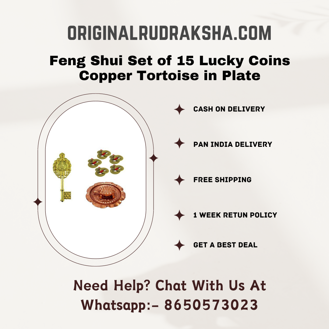 Feng Shui Lucky Coins Copper Tortoise for Health & Wealth Original