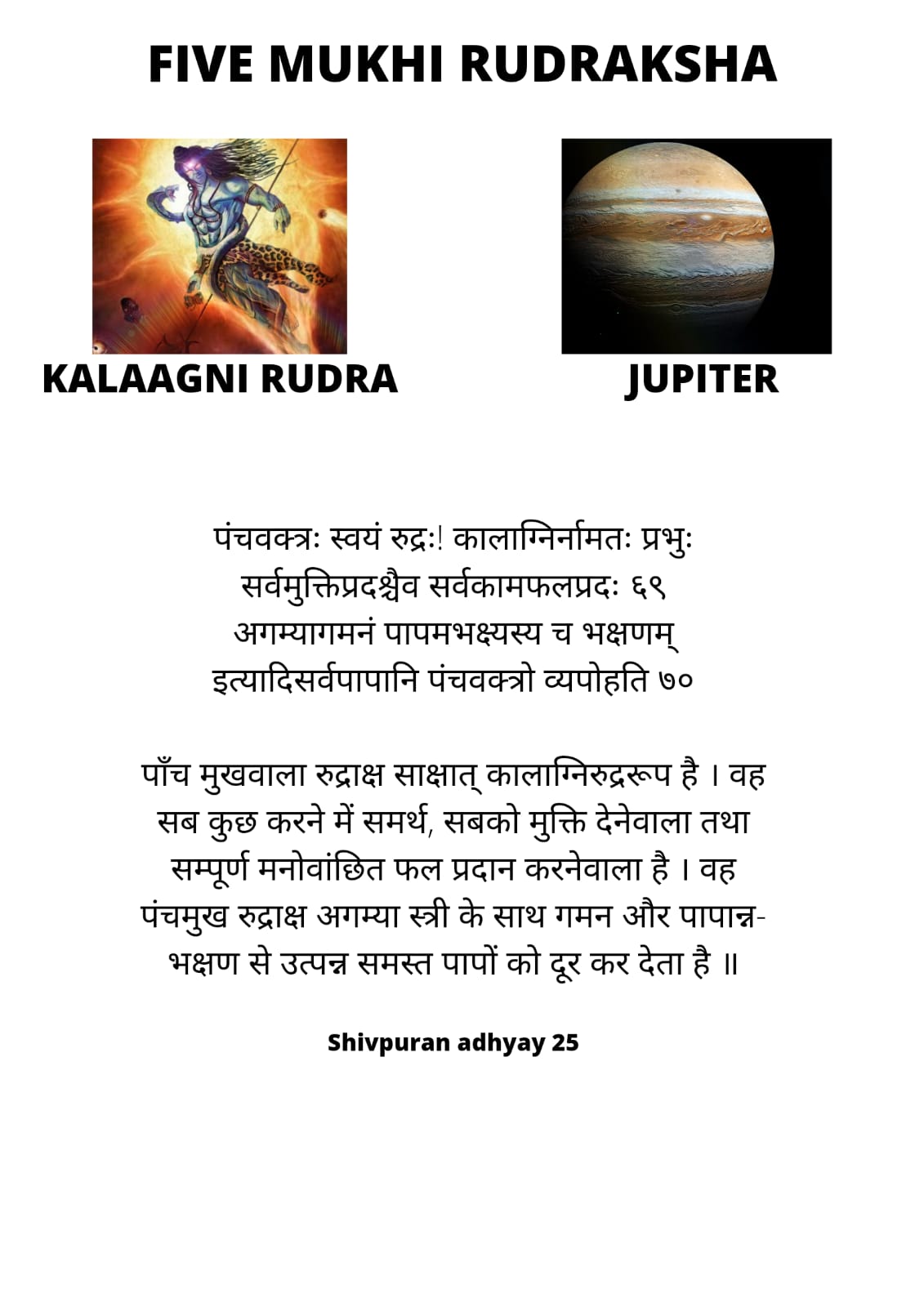 Buy 5 Mukhi Rudraksha Original