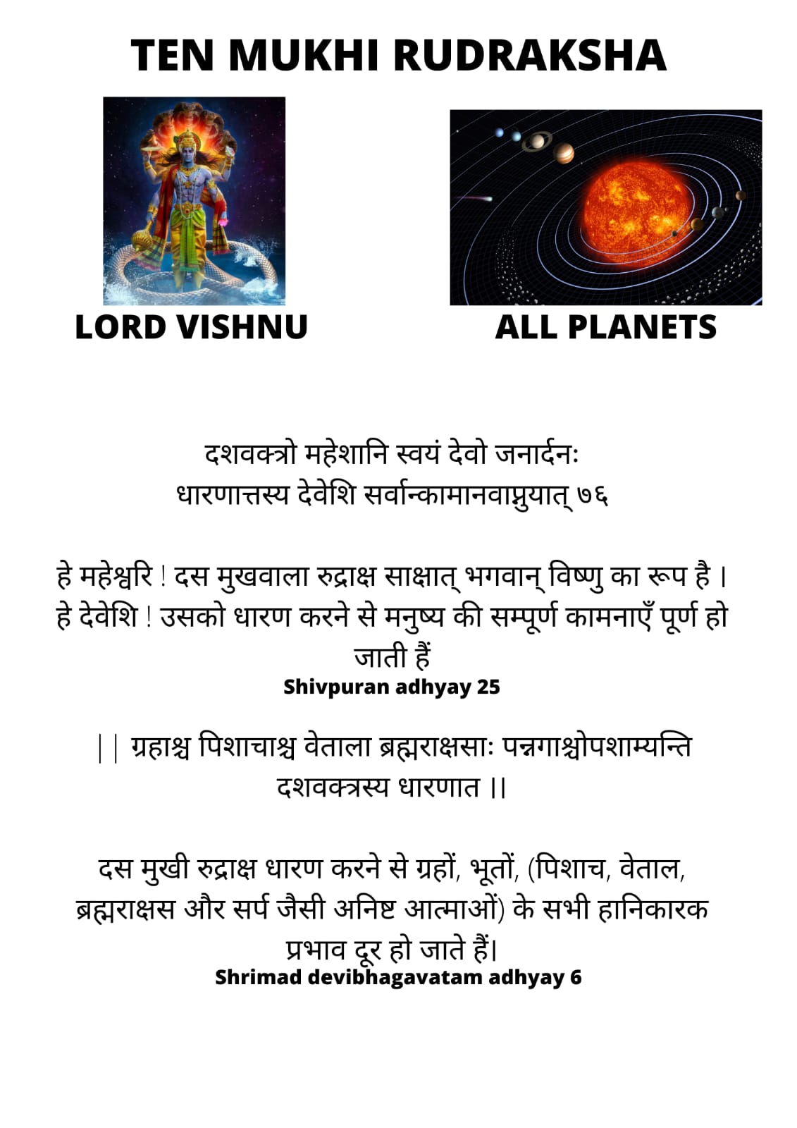 10 Mukhi Rudraksha: Benefits & Price