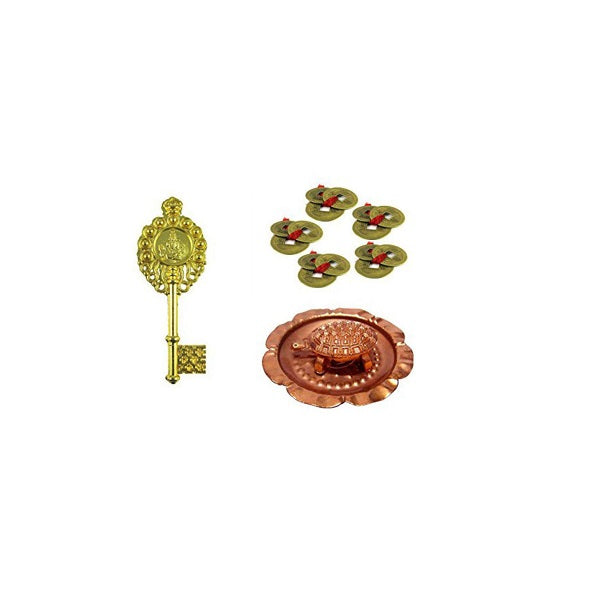 Copper Tortoise in Plate