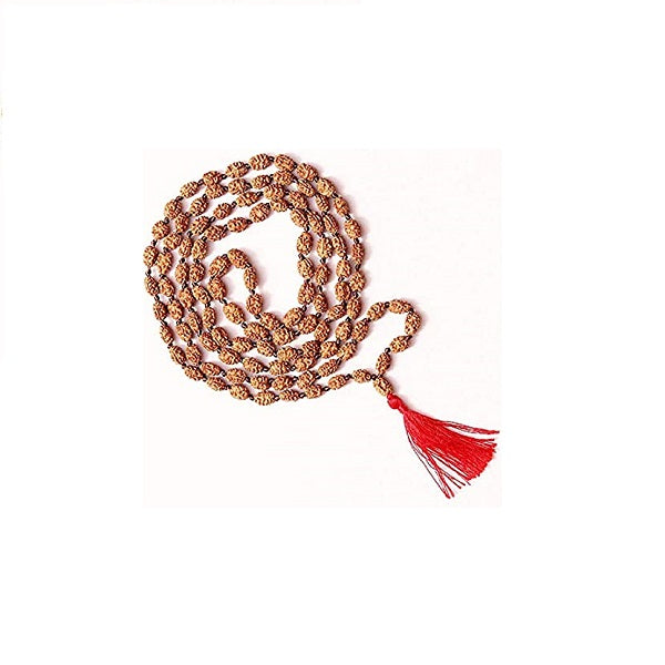 2 Mukhi Rudraksha Mala