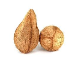 Rare One Eye Coconut (Ekakshi Nariyal)