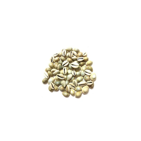 Laxmi Cowries 108 Earthenware Yantra