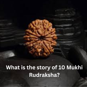 10 Mukhi Rudraksha