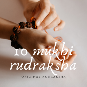 10 Mukhi Rudraksha