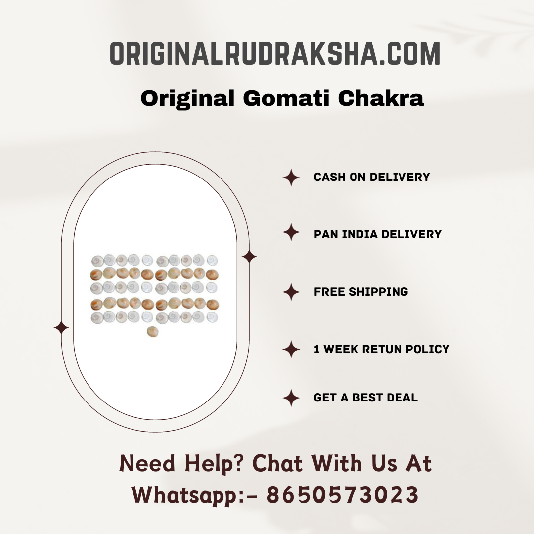 Gomati Rana Original Gomati Chakra (Pack of 51 Pc) - Hare Krishna Mart – Original ...