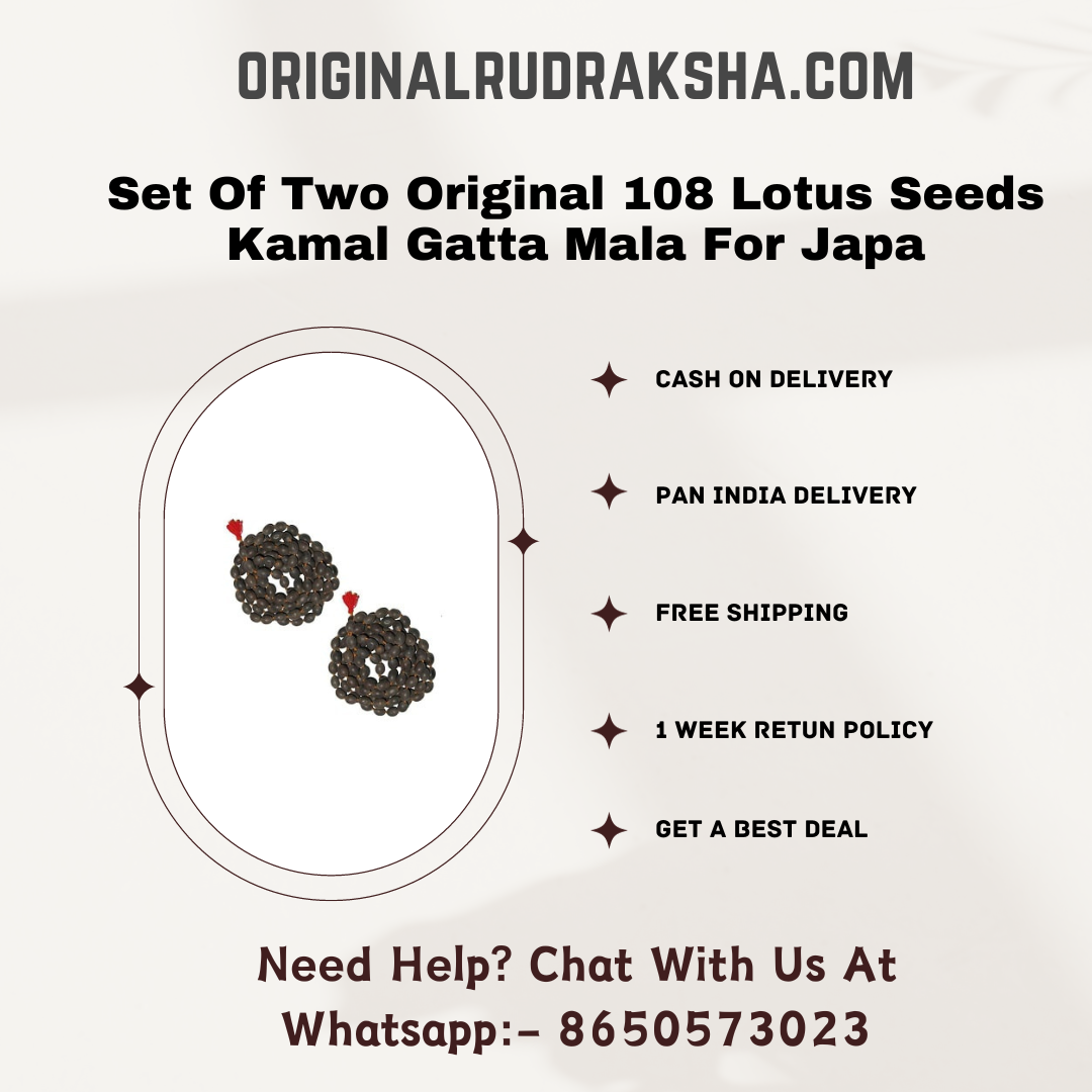 Set Of Two Original 108 Lotus Seeds Kamal Gatta Mala For Japa, Laxmi Pooja and Wearing (33 inch)