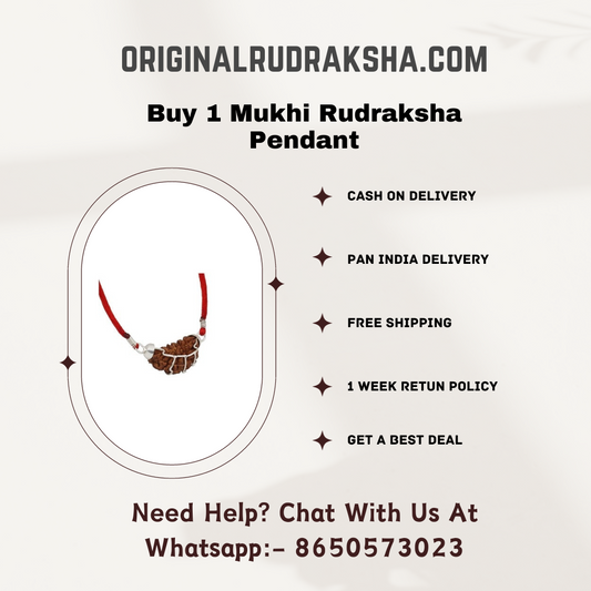 Buy 1 Mukhi Rudraksha Pendant