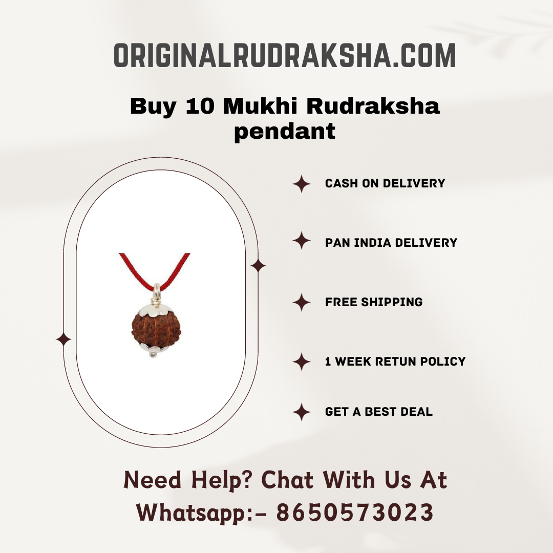 10 Mukhi Rudraksha pendant price