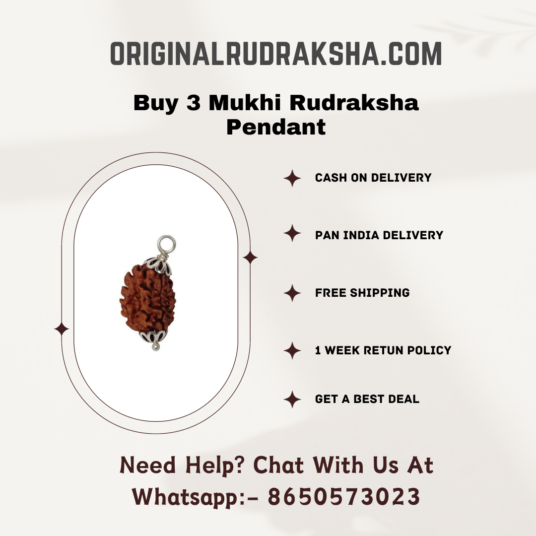 3 Mukhi Rudraksha Pendant