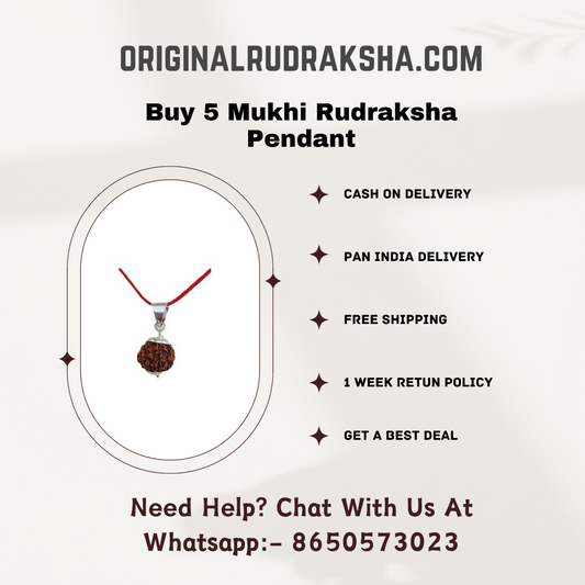 5 Mukhi Rudraksha Pendant