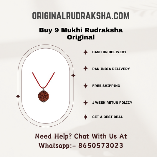 9 Mukhi Rudraksha Original