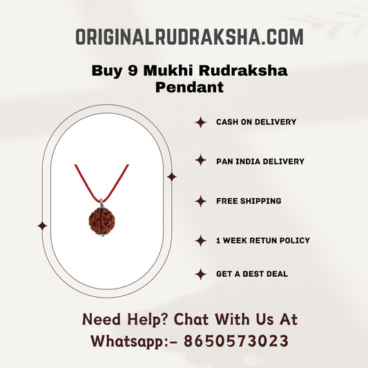 9 Mukhi Rudraksha Pendant price