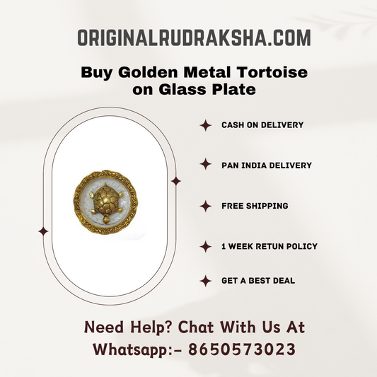 Golden Metal Tortoise on Glass Plate