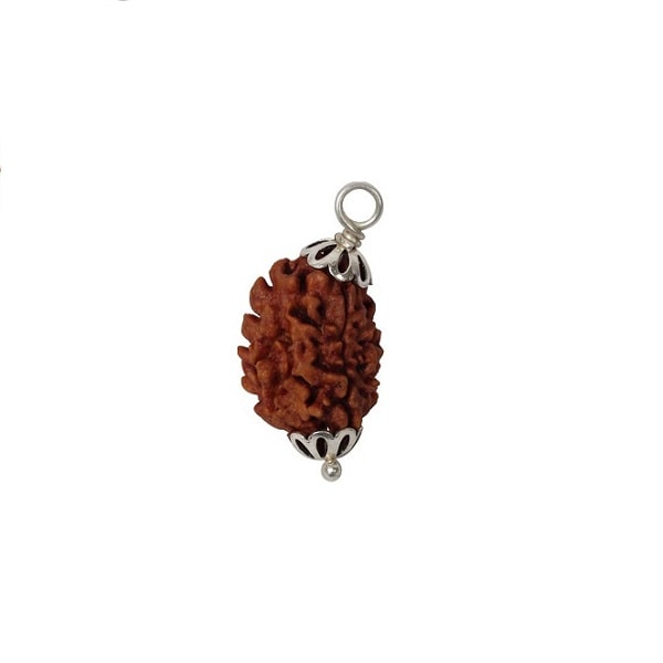 3 Mukhi Rudraksha Pendant